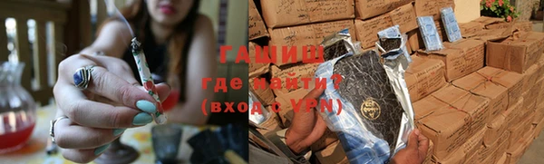 хмурый Аркадак