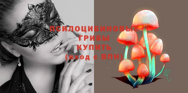 кокс Армянск