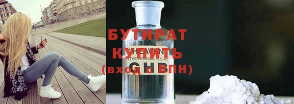 хмурый Аркадак