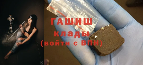 хмурый Аркадак