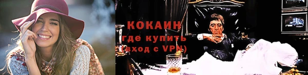 стаф Арсеньев