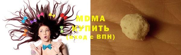 хмурый Аркадак