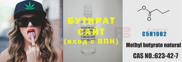 хмурый Аркадак