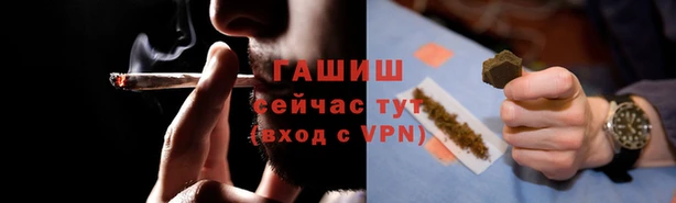 хмурый Аркадак
