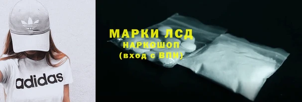 хмурый Аркадак