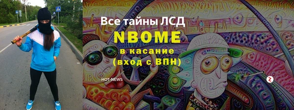 хмурый Аркадак