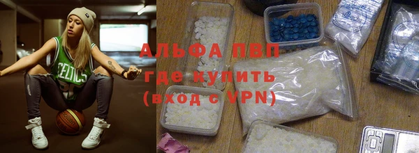 хмурый Аркадак
