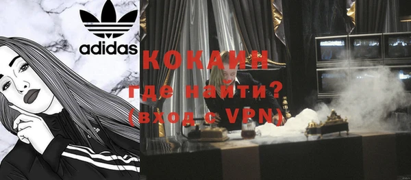 хмурый Аркадак
